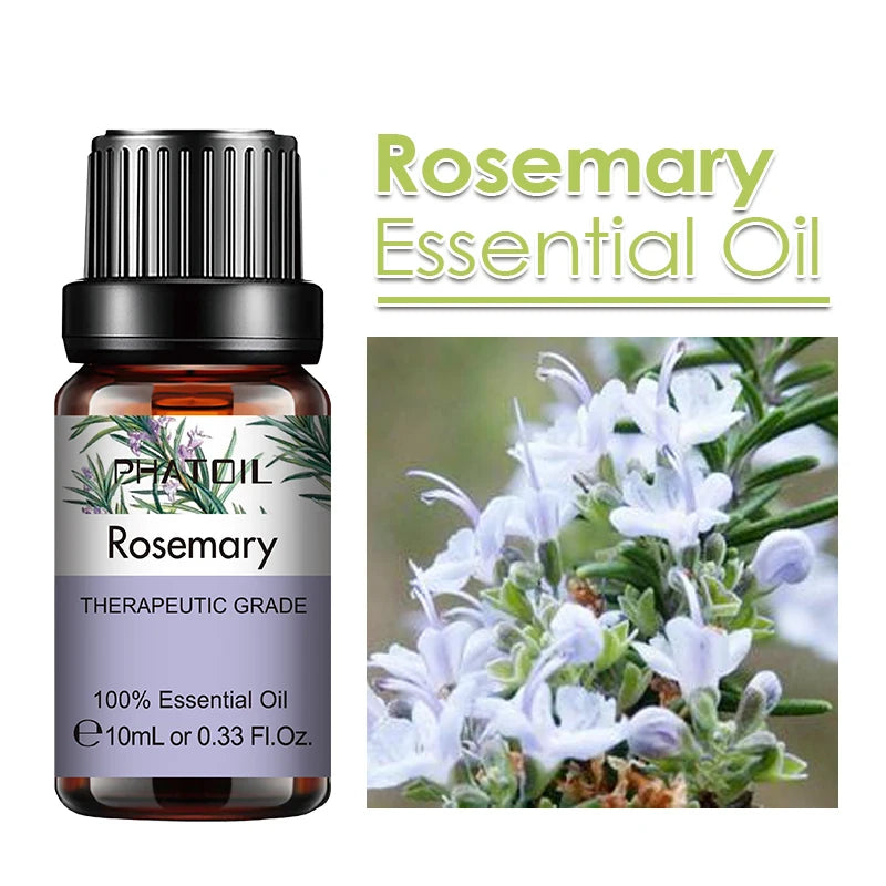 PHATOIL 10ml Ginger Essential Oil for Perfume Candles Making Spa Massage Humidifier Rose Jasmine Pine Needles Tangerine Thyme Pi-Mart