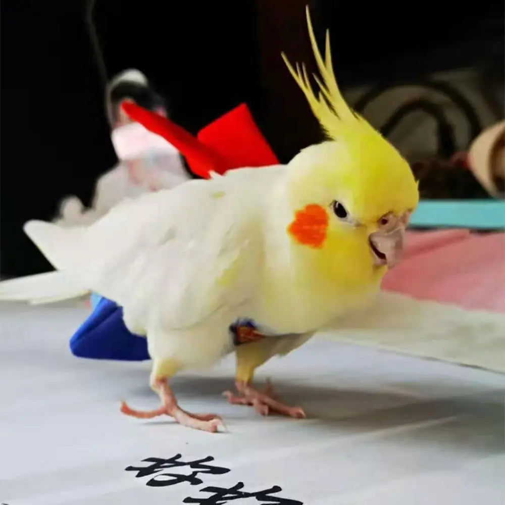 Soft For Parakeet Cockatiel Pigeons Adjustable Leakproof Cloth Parrot Diaper Birds Clothes Birds Flight Suit Parrot Urine Pants Pi-Mart
