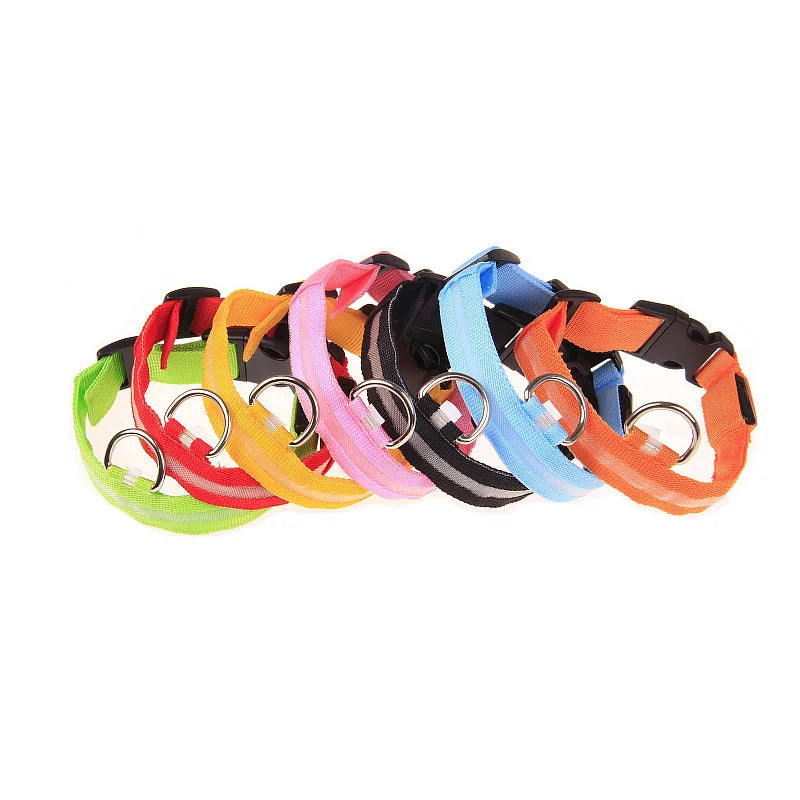 Nylon LED Night Safety Flashing Glow In The Dark Dog Leash Dogs Luminous Fluorescent Pet Dog Collar Pi-Mart