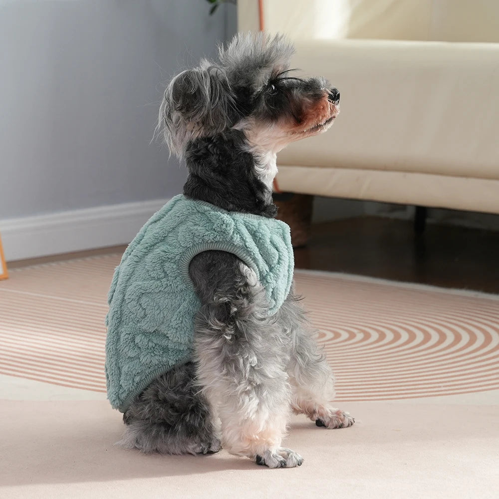 Soft Cozy Cat Clothes Autumn Winter Warm Fleece Sweatshirt for Small Dogs Puppy Kitten Jacket Coat Pet Sphynx Costume Sweater Pi-Mart