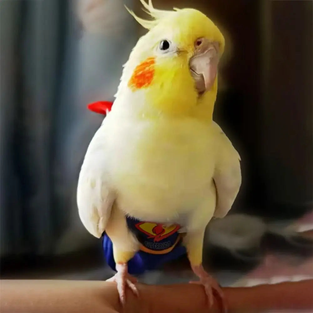 Soft For Parakeet Cockatiel Pigeons Adjustable Leakproof Cloth Parrot Diaper Birds Clothes Birds Flight Suit Parrot Urine Pants Pi-Mart
