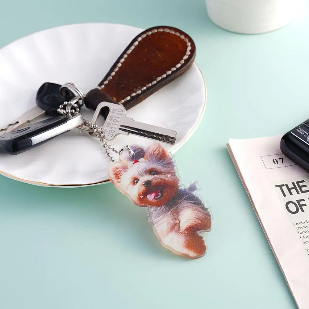 Sd6f9a21007d54e1a88e885b93a2f4f7eo