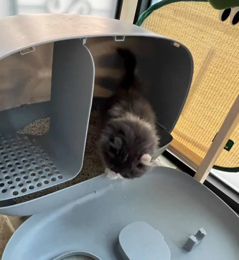 Makesure Cat Litter Box Fully Enclosed Cat Toilet Pet Supplies High-value Cat Toilet Automatic Self-cleaning Litter Box Pi-Mart