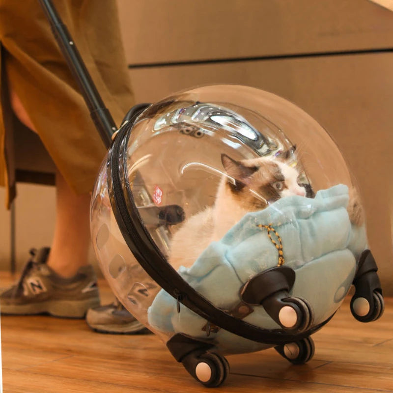 Portable Cat Bag for Going Out Large Capacity Transparent Breathable Pet Trolley Case Cat Travel Bag Pet Supplies Cat nest Pi-Mart