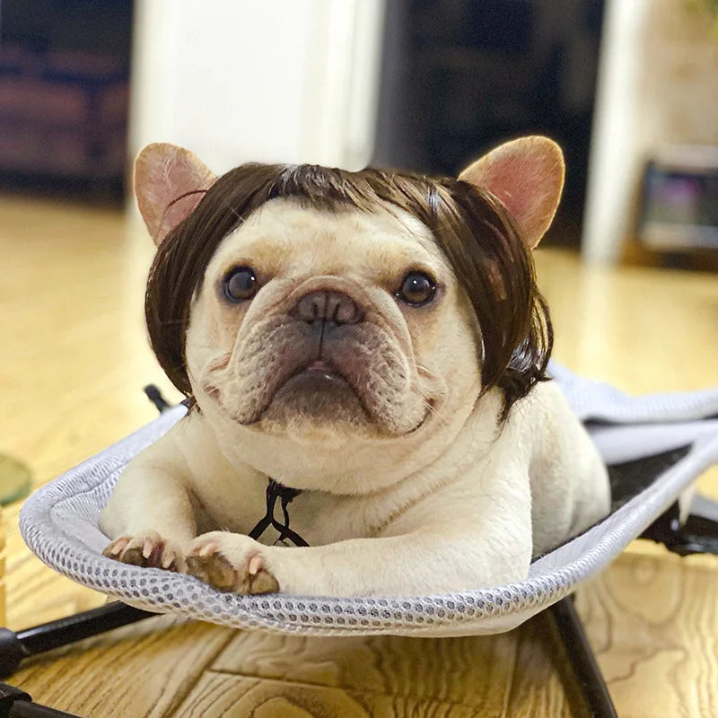 Pet Wigs Cosplay Props Dog Cat Cross-Dressing Hair Set Photography Funny Props Head Accessories Prank Pet Supplies Costumes DIY Pi-Mart