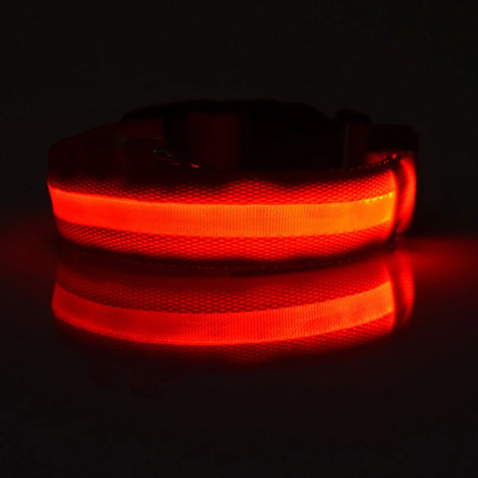 Nylon LED Night Safety Flashing Glow In The Dark Dog Leash Dogs Luminous Fluorescent Pet Dog Collar Pi-Mart