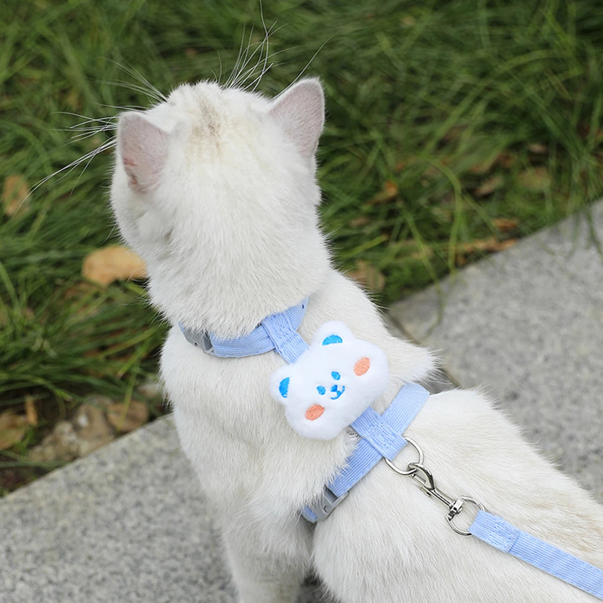 Cat Harness and Leash Sets Adjustable Dog Harness for Small Dog Leash Breashable Pet Harness Out Walking Dog Strap Cat Accessory Pi-Mart