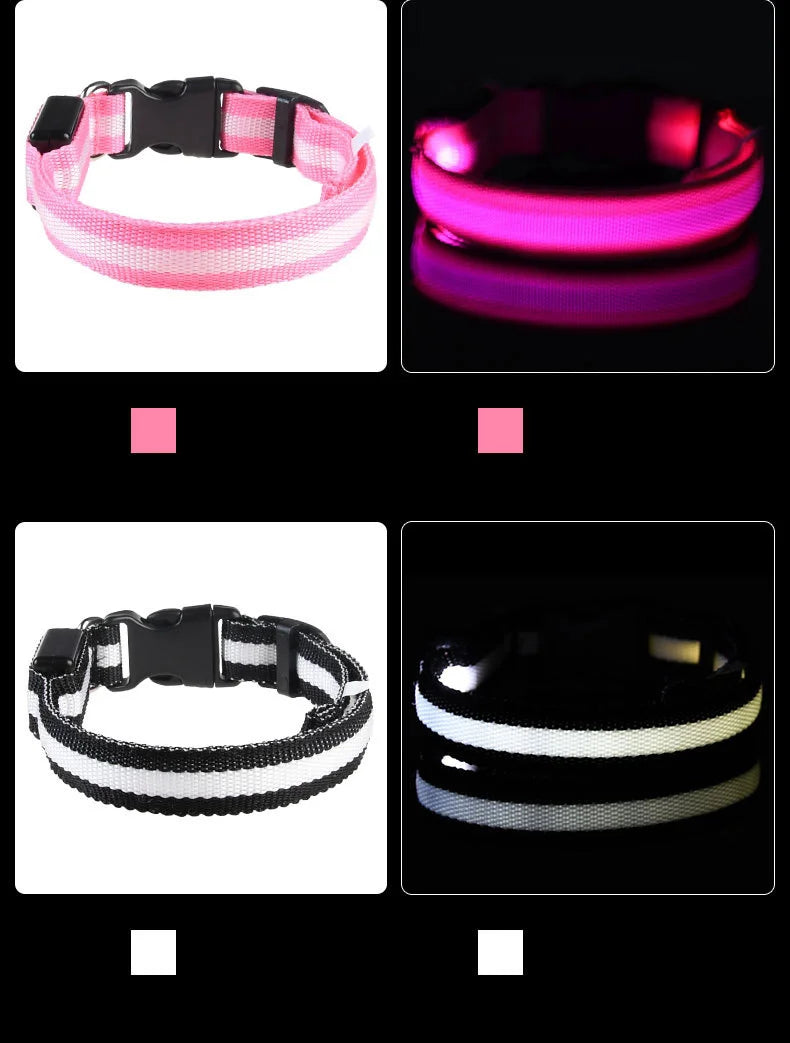 Nylon LED Night Safety Flashing Glow In The Dark Dog Leash Dogs Luminous Fluorescent Pet Dog Collar Pi-Mart