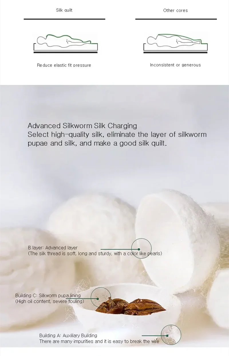 100% Natural Silk Quilt Lyocell Fiber Duvet Queen Size Summer Blanket White Luxury Jacquard Bedding Single Double Bed Comforter Pi-Mart