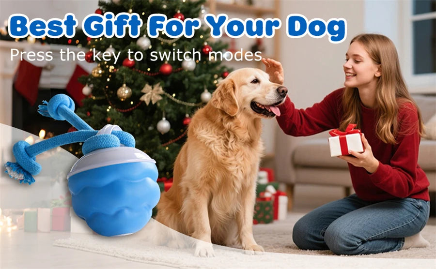 Intelligent Dog Toy Ball Electronic Interactive Cat Toy Usb Automatic Moving Bouncing Ball For Large Medium Dog Holiday Pet Gift Pi-Mart