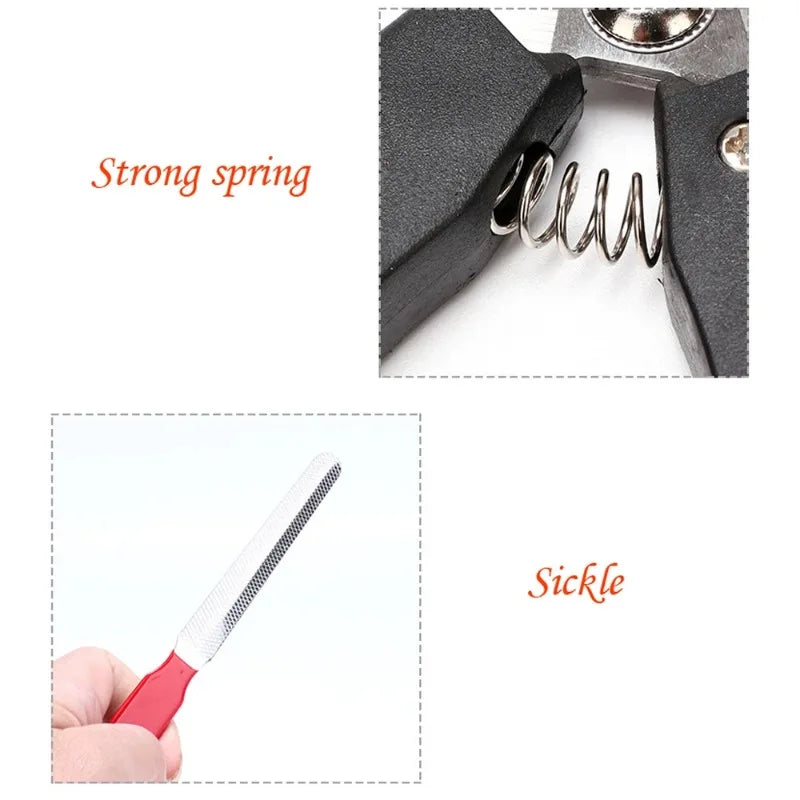 Pet Nail Clippers with Sickle Large Dog Nail Clippers Nail Clippers Multifunctional Teddy Cat Stainless Steel Grooming Scissors Pi-Mart