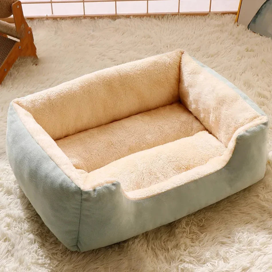 Bed for Cats Pet Products Cushions Kitten Goods Accessories Dog All Houses Supplies Things Accessory Habitats Basket House Beds Pi-Mart