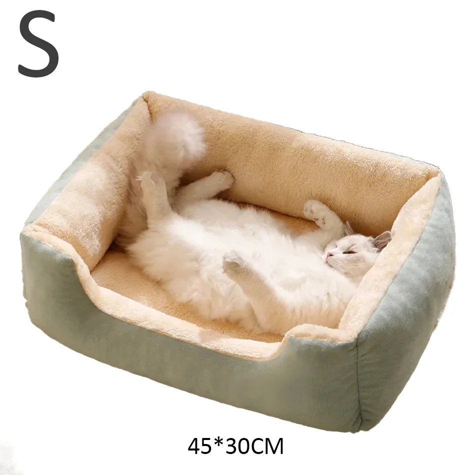 Bed for Cats Pet Products Cushions Kitten Goods Accessories Dog All Houses Supplies Things Accessory Habitats Basket House Beds Pi-Mart