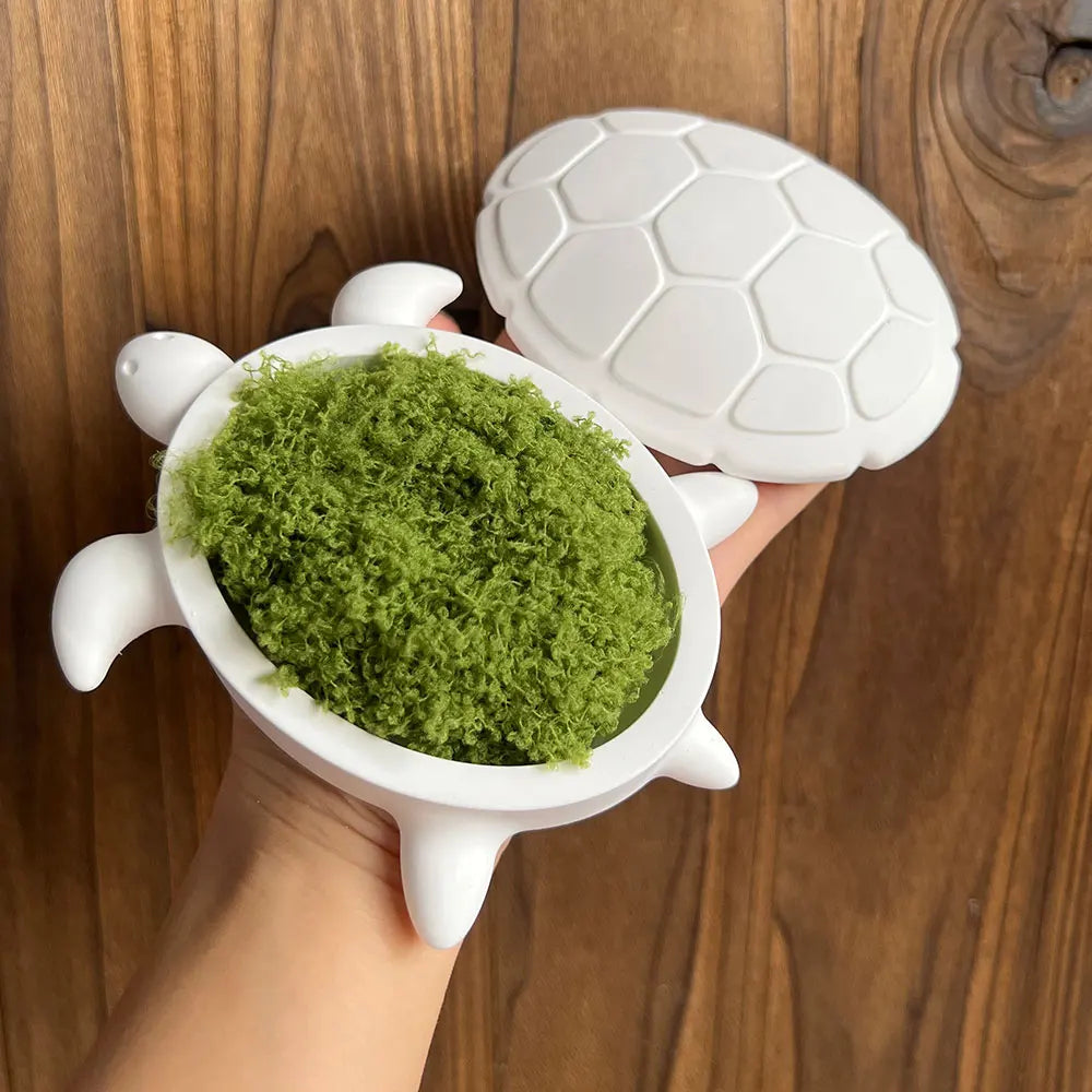 Turtle Storage Box Silicone Molds Kits DIY Scented Ocean Animals Jewelry Display Plate Tray With Lid Plaster Resin Mold LadyShow.Store