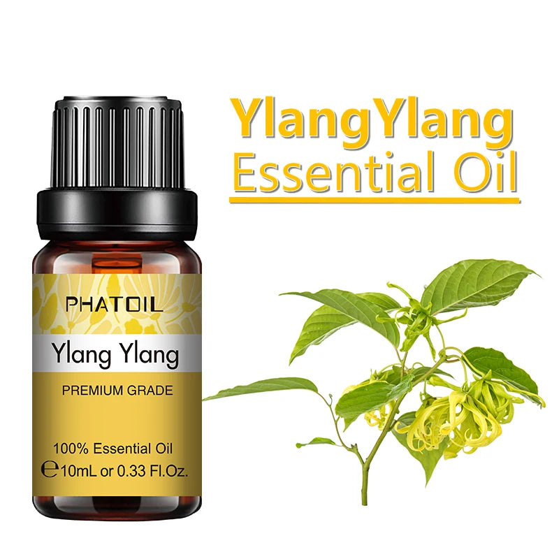 PHATOIL 10ml Ginger Essential Oil for Perfume Candles Making Spa Massage Humidifier Rose Jasmine Pine Needles Tangerine Thyme Pi-Mart