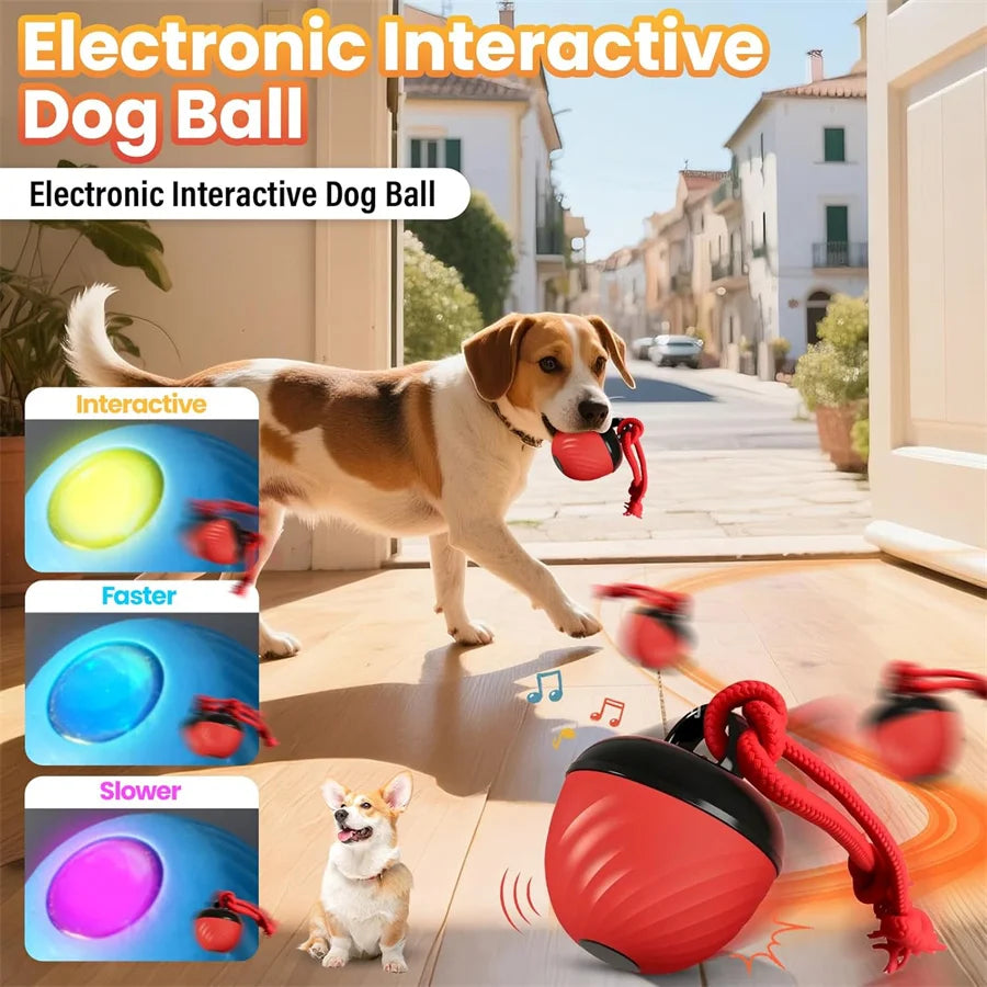 Intelligent Dog Toy Ball Electronic Interactive Cat Toy Usb Automatic Moving Bouncing Ball For Large Medium Dog Holiday Pet Gift Pi-Mart