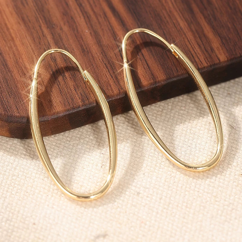 Minimalist Gold Color Dangle Women's Earrings Geometric Oval Party Daily Wear Pi-Mart