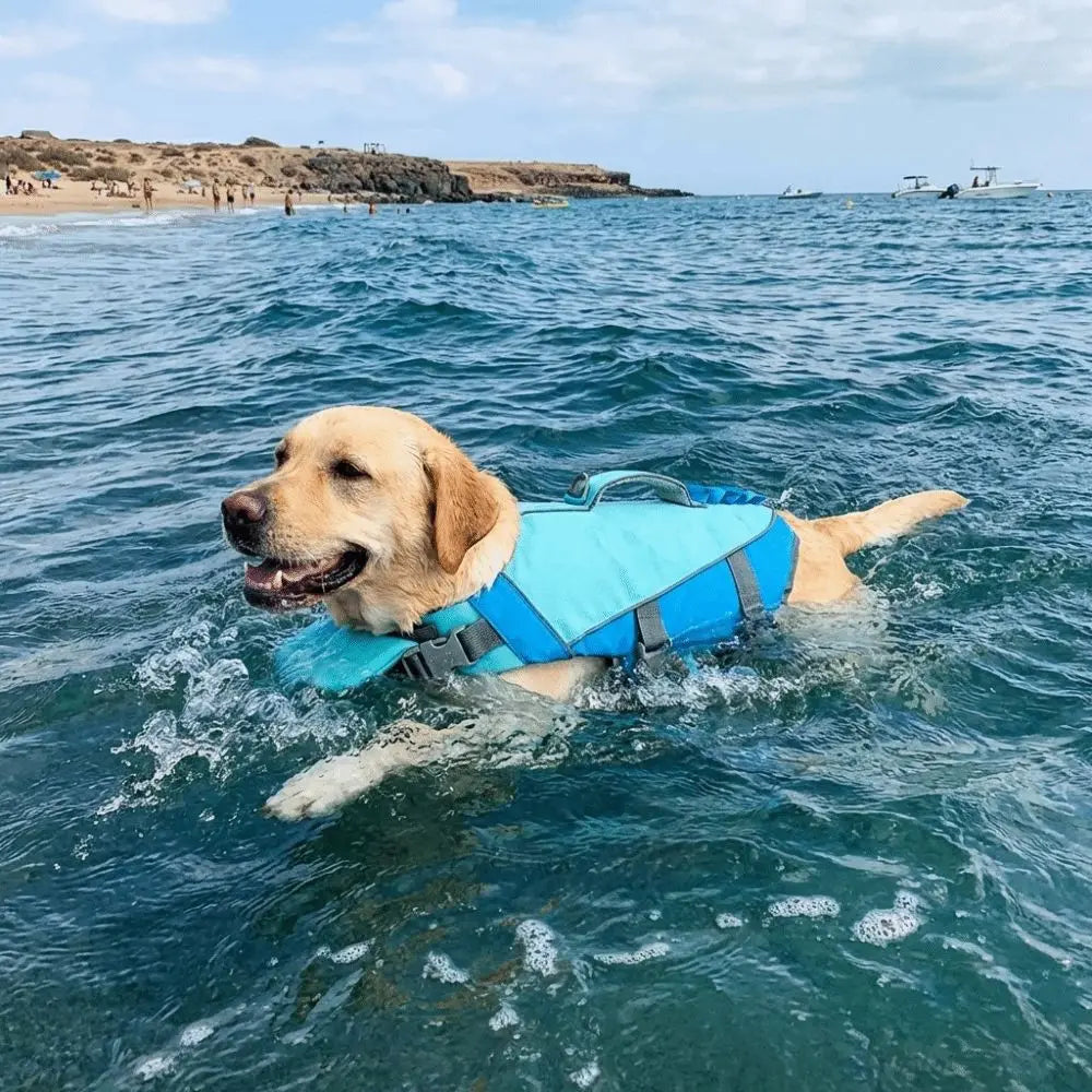 Pet Supplies Reflective Stripes Dog Life Jacket Adjustable Large Buoyancy Safety Vest Breathable Pet Life Vest Water Sports Pi-Mart