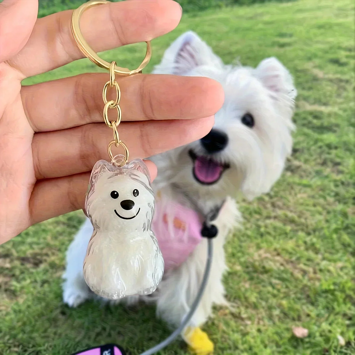 Transparent Dog Hair Storage Pendant Dog Hair Collector Keychain Pet Hair Memorial Bottle for Pet Lovers DIY Memorial Keychain Pi-Mart