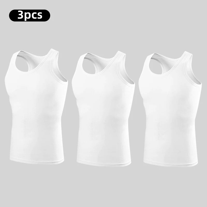 Sedbc77cad96448d0b630526f1897f9a0n