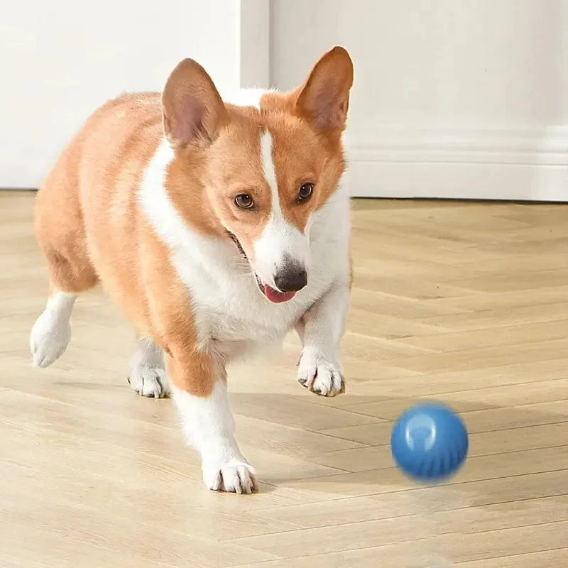 Smart Dog Toy Ball Electronic Interactive Pet Toy Moving Ball USB Automatic Moving Bouncing for Puppy Birthday Gift Cat Products Pi-Mart