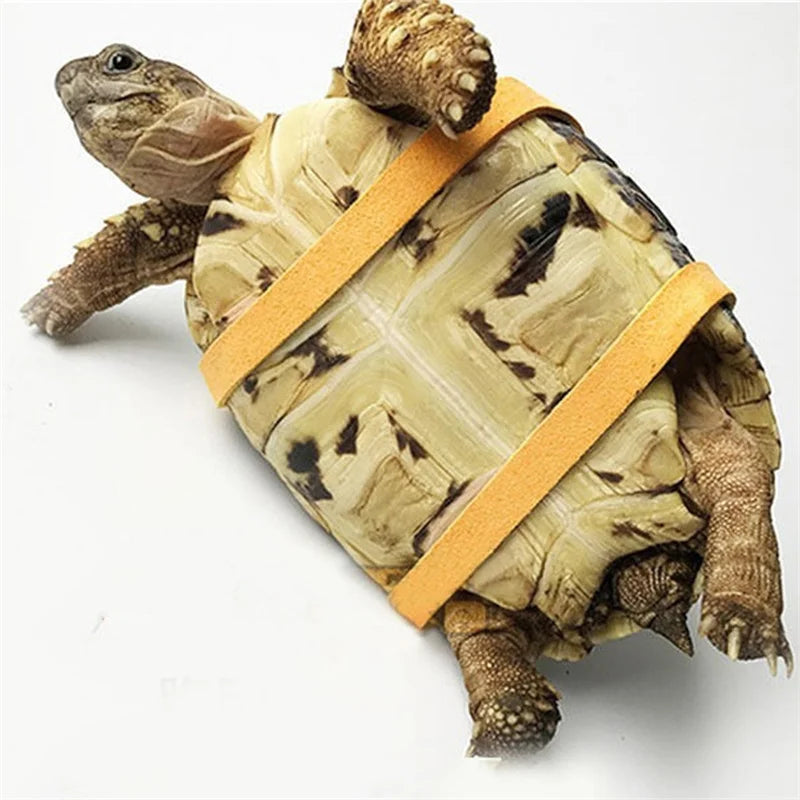 Turtle Traction Belt Control Rope Training Belt Outdoor Walking Leash  Harness Reptile Leash Pet Supplies PU Leather Pi-Mart