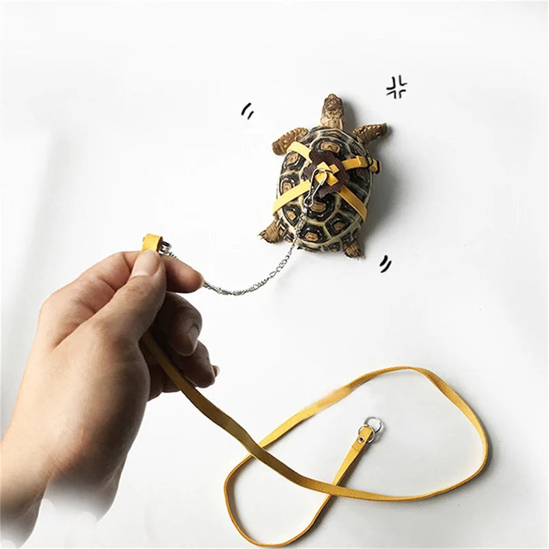 Turtle Traction Belt Control Rope Training Belt Outdoor Walking Leash  Harness Reptile Leash Pet Supplies PU Leather Pi-Mart