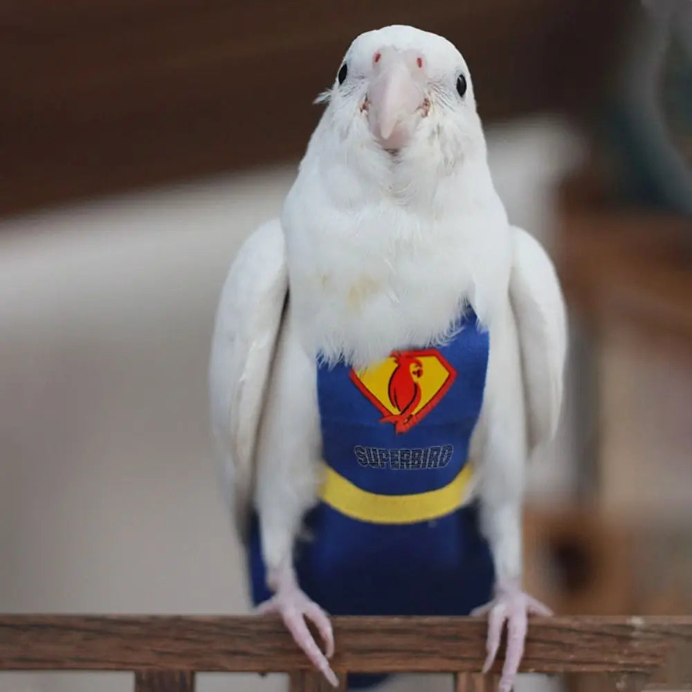 Soft For Parakeet Cockatiel Pigeons Adjustable Leakproof Cloth Parrot Diaper Birds Clothes Birds Flight Suit Parrot Urine Pants Pi-Mart