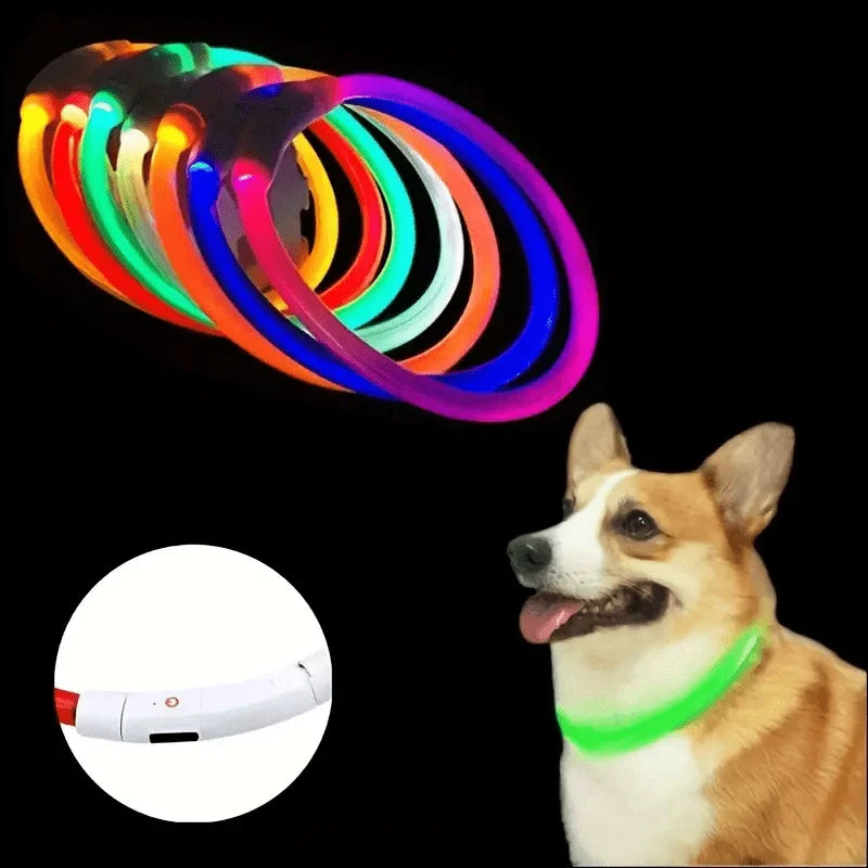Pet Dog LED Light Collar Luminous Anti-Lost Dog Collar USB Rechargeable Dog Necklace Collar Pi-Mart