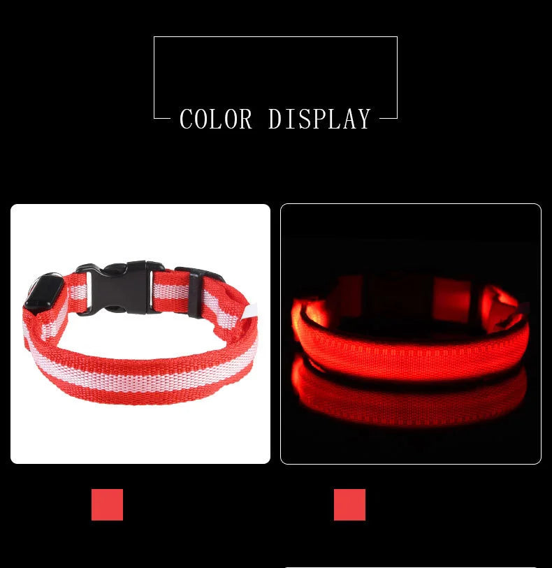Nylon LED Night Safety Flashing Glow In The Dark Dog Leash Dogs Luminous Fluorescent Pet Dog Collar Pi-Mart