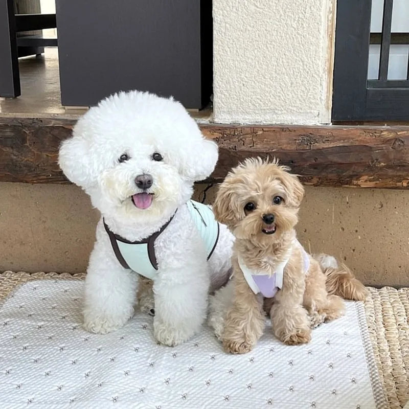 Summer Letter Printed Puppy Sling Breathable Teddy Vest Small Dog Bow T-shirt Casual Dog Clothes Pet Supplies Pi-Mart