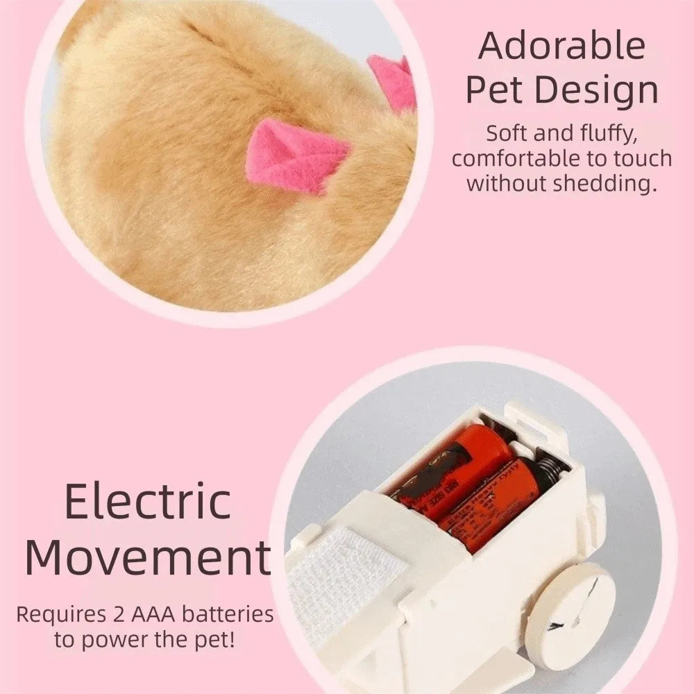 Transparent Cat Chasing Ball Built-in Plush Animal Plastic Interactive Cat Toy Realistic Rabbit Hamster Chasing Ball Pi-Mart
