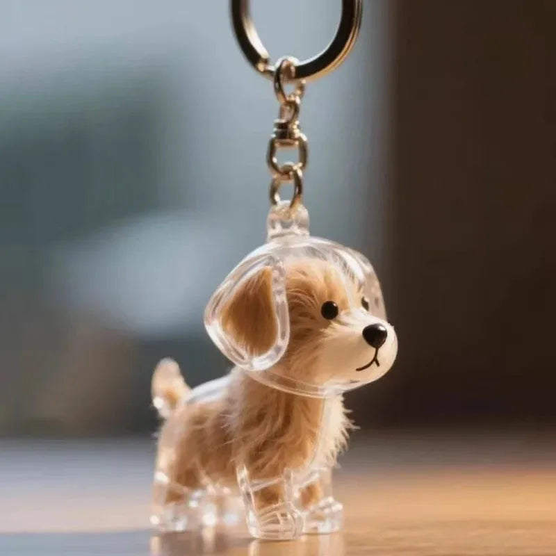Transparent Dog Hair Storage Pendant Dog Hair Collector Keychain Pet Hair Memorial Bottle for Pet Lovers DIY Memorial Keychain Pi-Mart