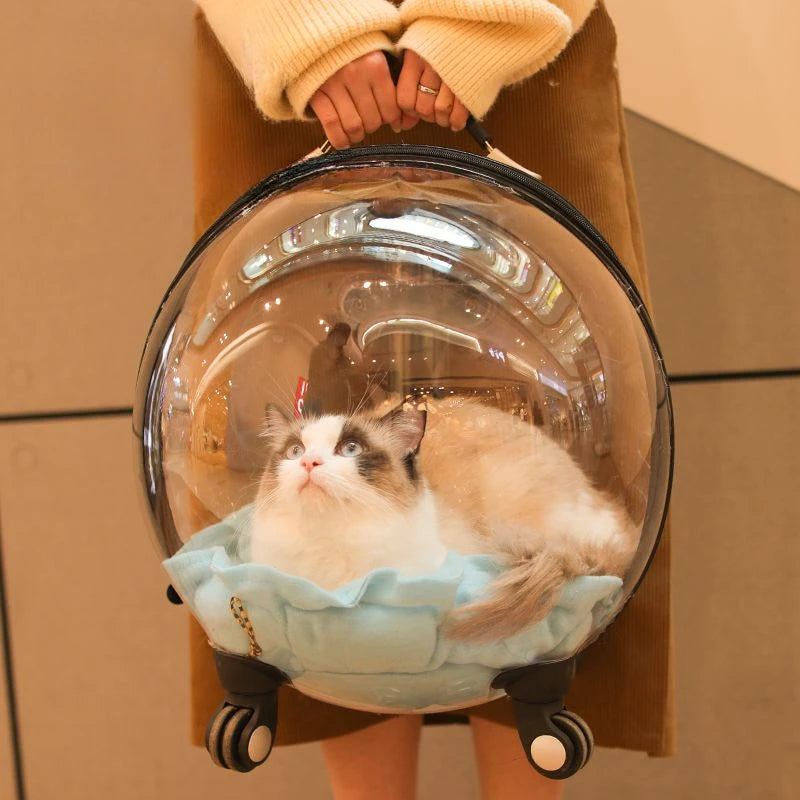 Portable Cat Bag for Going Out Large Capacity Transparent Breathable Pet Trolley Case Cat Travel Bag Pet Supplies Cat nest Pi-Mart