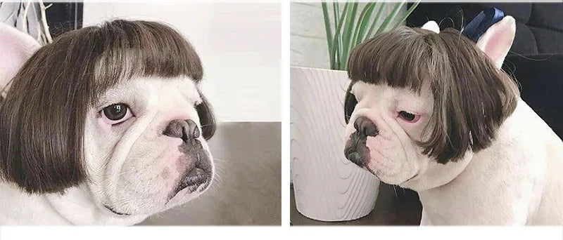 Pet Wigs Cosplay Props Dog Cat Cross-Dressing Hair Set Photography Funny Props Head Accessories Prank Pet Supplies Costumes DIY Pi-Mart
