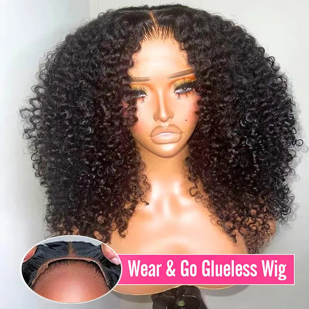 250% Kinky Curly Wigs Human Hair Afro Curly 13x6 HD Lace Frontal Wig Wear Go Glueless 5x5 Lace Front Human Hair Wigs on Sale LadyShow.Store