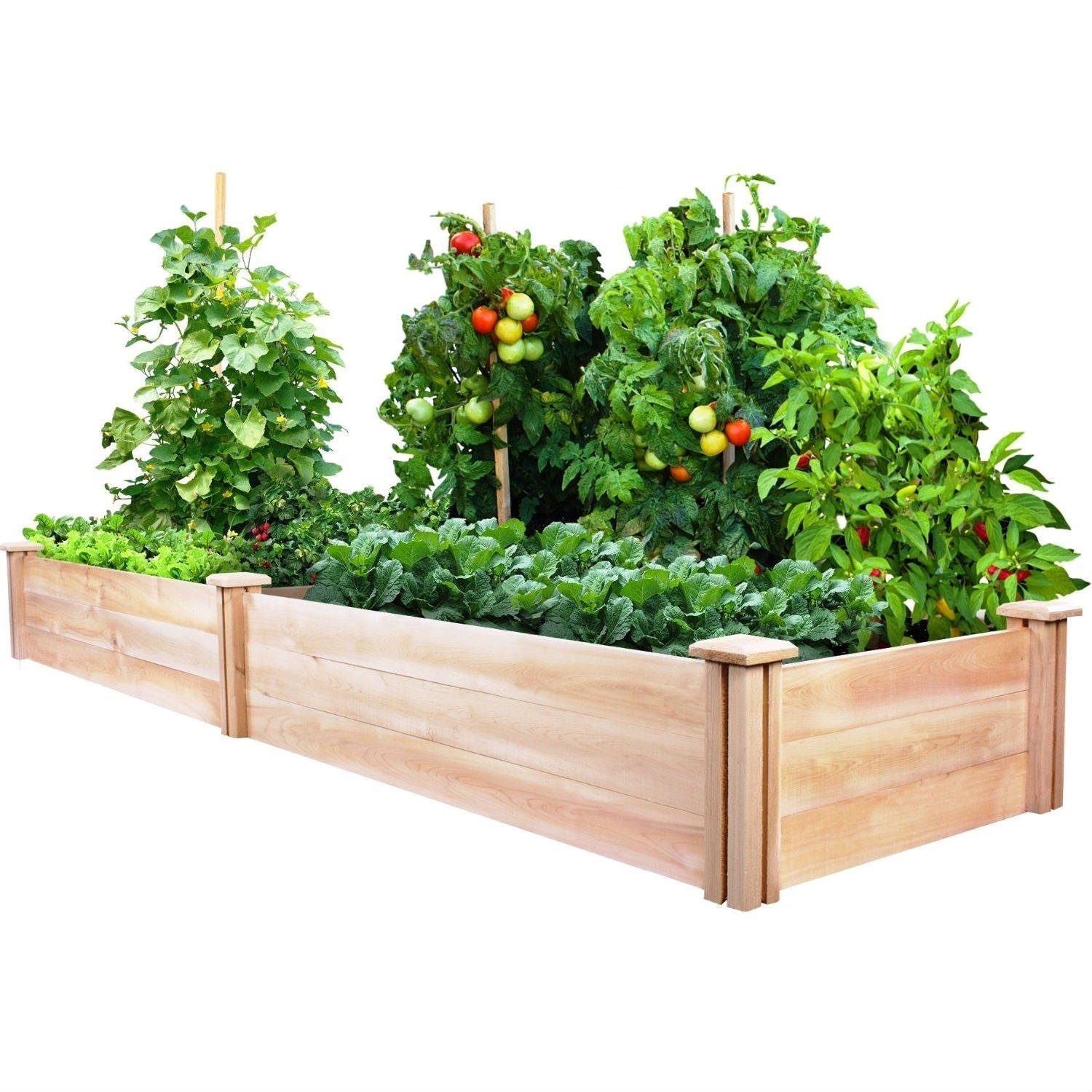 Cedar Wood 2-Ft x 8-Ft Outdoor Raised Garden Bed Planter Frame - Made in USA LuxuryLifeWay Online Store