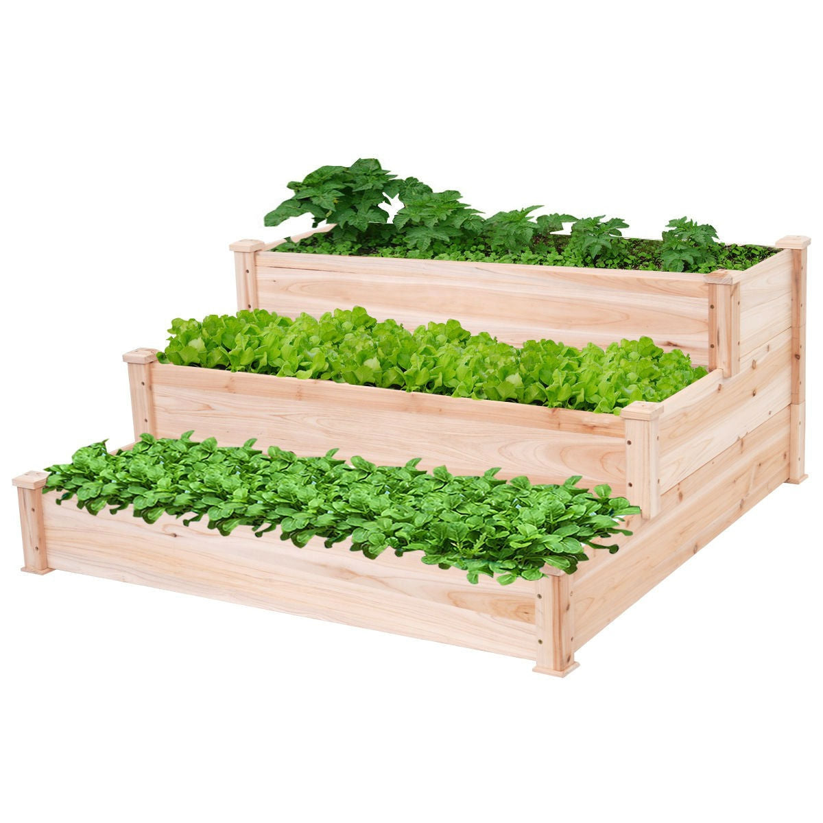Solid Wood 4 Ft x 4 Ft Raised Garden Bed Planter 3-Tier LuxuryLifeWay Online Store