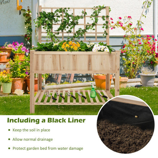 Raised Garden Bed Elevated Wooden Planter Box with Trellis LuxuryLifeWay Online Store