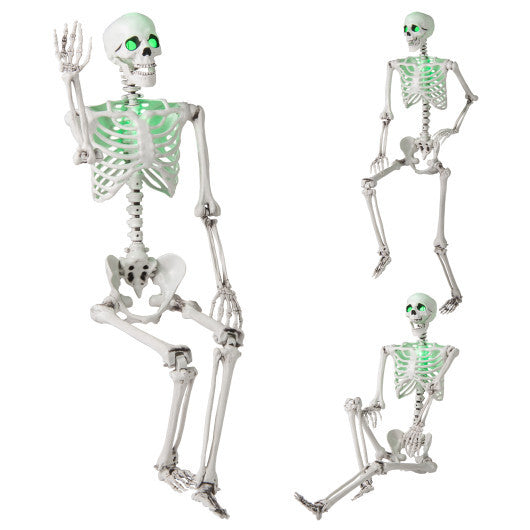 5.5 FT Halloween Skeleton Life-Size Posable for Indoor Outdoor Decoration LuxuryLifeWay Online Store