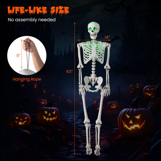 5.5 FT Halloween Skeleton Life-Size Posable for Indoor Outdoor Decoration LuxuryLifeWay Online Store