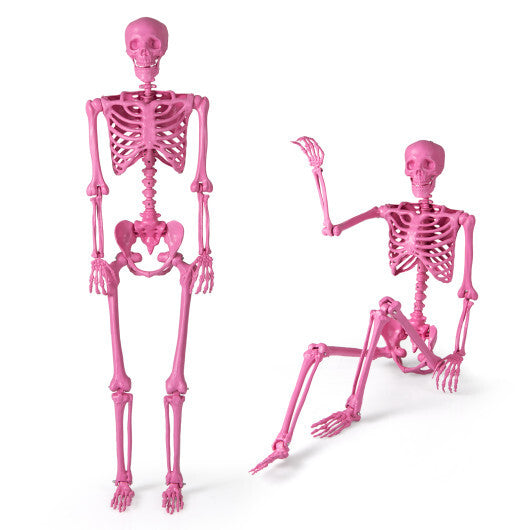 5.5 FT Life-Size Halloween Poseable Skeleton Pink Movable Joints LuxuryLifeWay Online Store