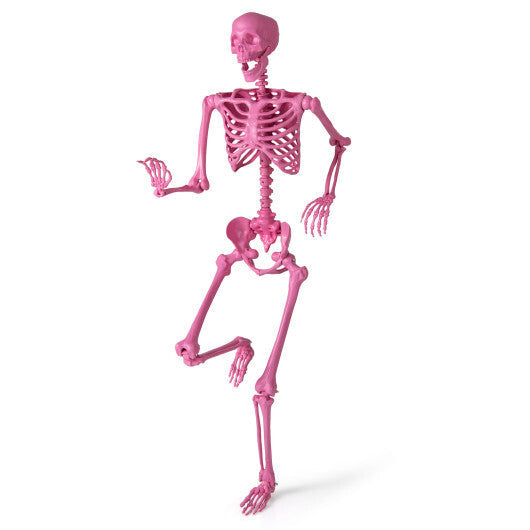 5.5 FT Life-Size Halloween Poseable Skeleton Pink Movable Joints LuxuryLifeWay Online Store