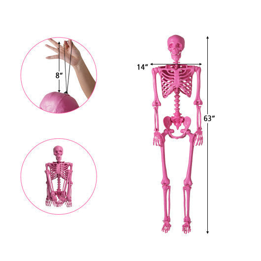 5.5 FT Life-Size Halloween Poseable Skeleton Pink Movable Joints LuxuryLifeWay Online Store