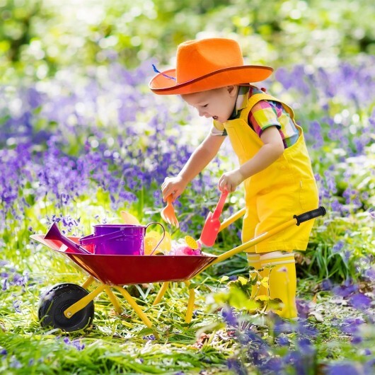 Outdoor Garden Backyard Play Toy Kids Metal Wheelbarrow-Red LuxuryLifeWay Online Store