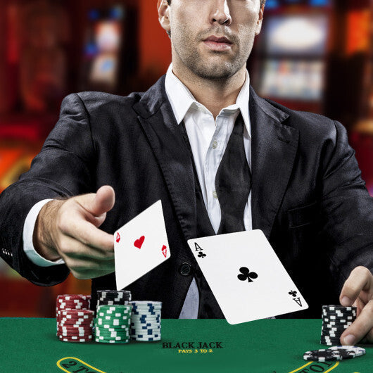 14 Gram Poker Chips 300 Pieces Casino Poker Chip Set-Black LuxuryLifeWay Online Store