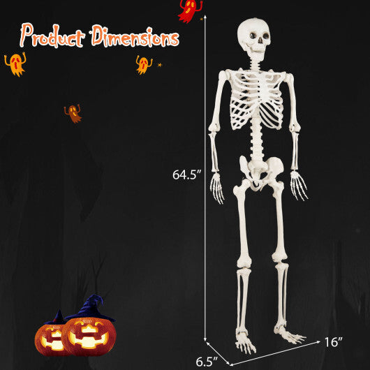 Costway 5.4 FT Halloween Skeleton Decoration Life Size Large Skeleton LuxuryLifeWay Online Store