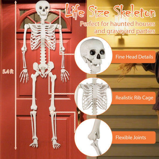 Costway 5.4 FT Halloween Skeleton Decoration Life Size Large Skeleton LuxuryLifeWay Online Store