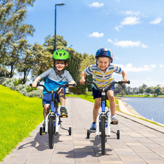 Prorider 14'' Kid's Bike with Removable Training Wheels & Basket for 3-5 Years Old Blue