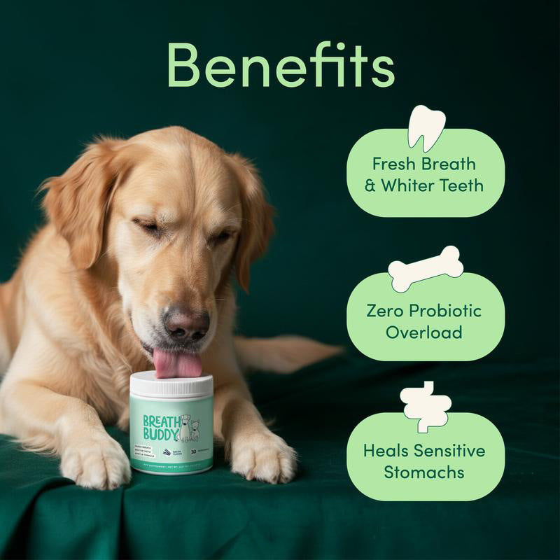 Pet Oral Care Powder Dog Teeth-Cleaning Powder Pets Fashion